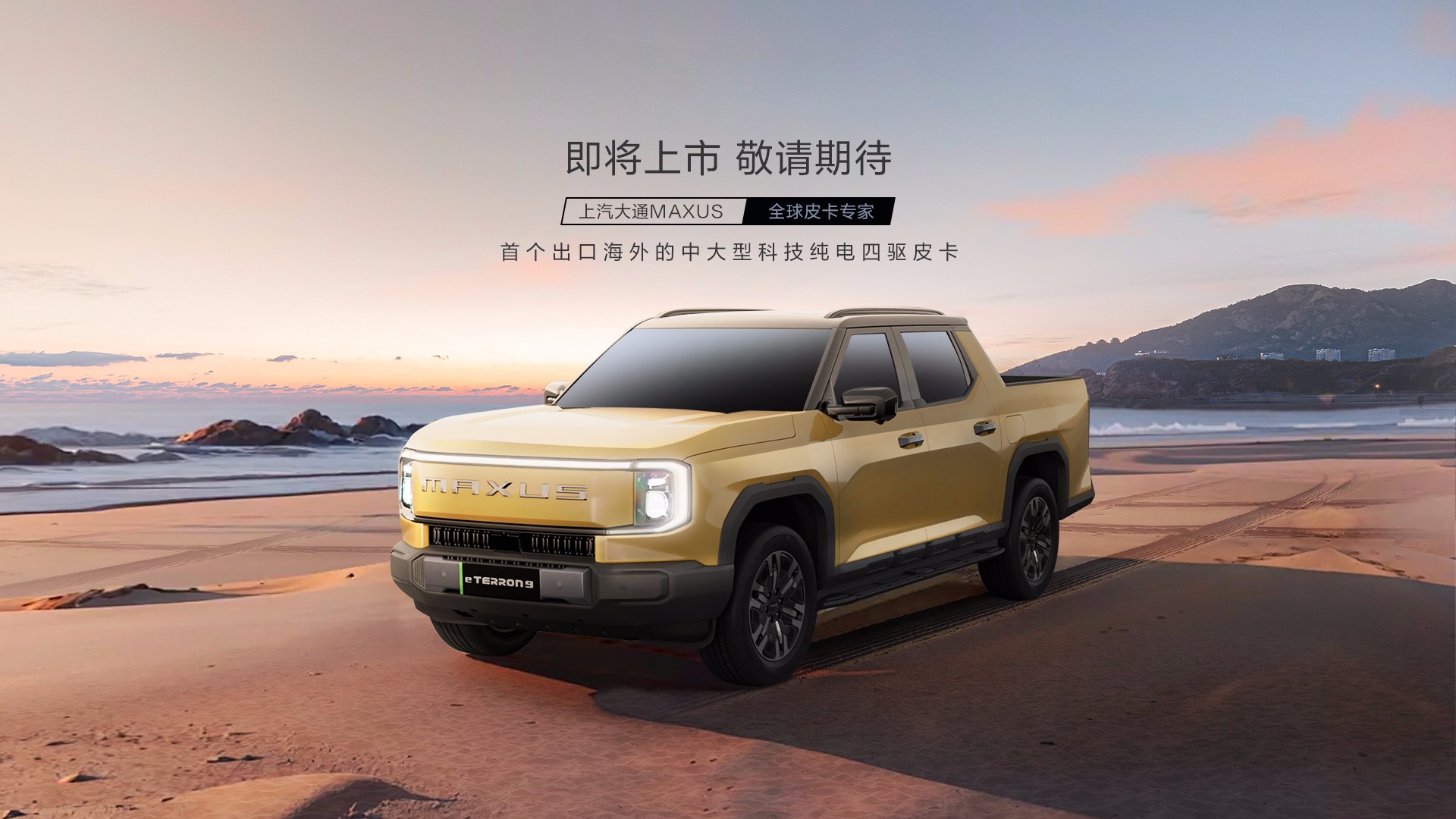 全球皮卡专家
